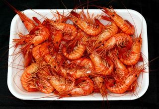 Camaron Cocido 1 Kg. Aprox 1 Kg. Aprox