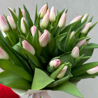 Bukiet delikatnych tulipanów 25