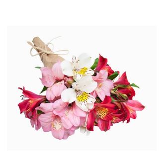 Ramo de Astromérias