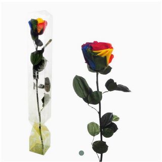 Rosa Eterna Acoiris Grande