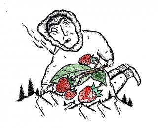 Ципа Квасне На Малині 0,33l