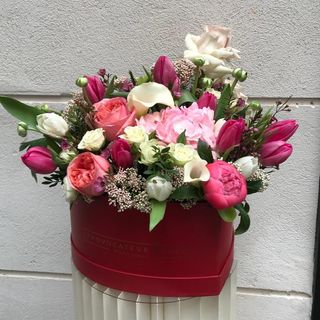 Caja De Flores Aurora