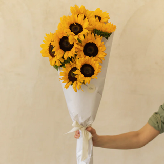 Girasoles L