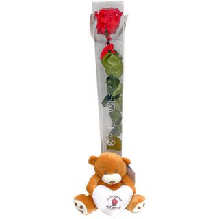 Rosa eterna con peluche