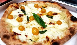 Cortigiana piccantina