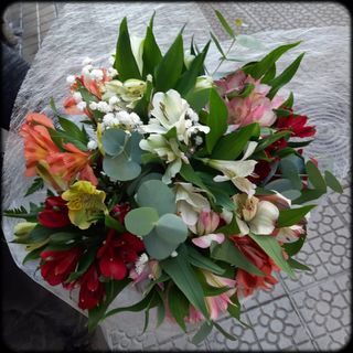 Ramo de alstroemerias