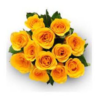 12 ROSE ARANCIO