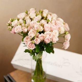 Cutie 11 spray roses roz