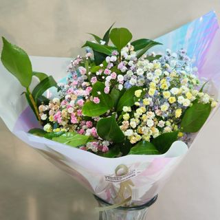 Ramo De Paniculata Multicolor