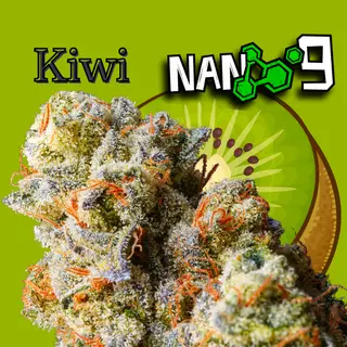 KIWI X NANO9 CBD al 89% 1G