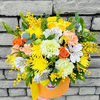 ყვითელი კომპოზიცია 6  (M)