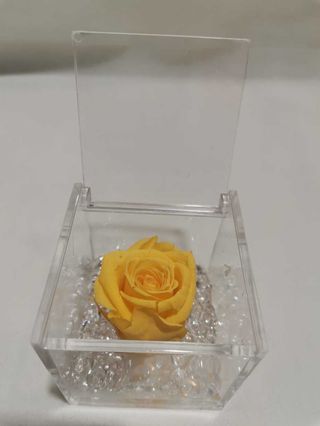 Cubo 6x6 con rosa gialla