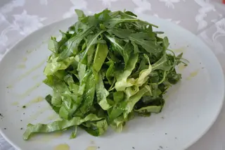 Rukola zelena salata
