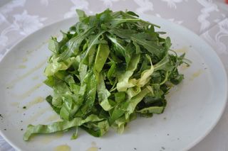 Rukola zelena salata