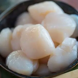 Sashimi de Vieiras