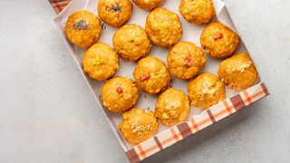 Набор муравейник