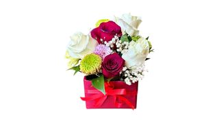 ბლუმ ბოქსი