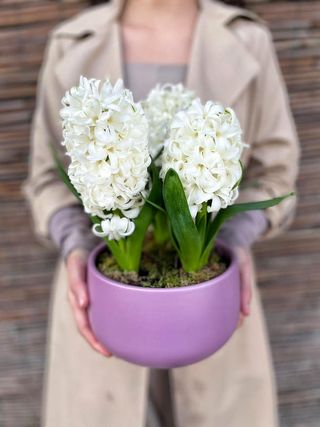 Aranjament cu zambile ROZ/MOV/ALBE 