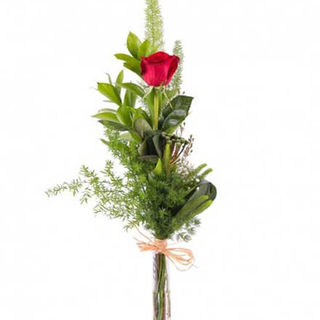 Rosa roja.