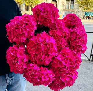 MEGA BUCHET HORTENSII