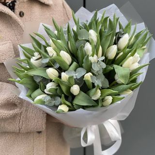 35 białych tulipanów z eukaliptusem