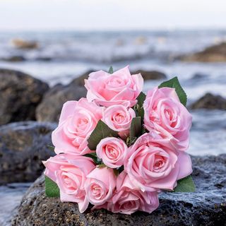 10 fleurs Roses avec emballage