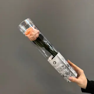 Una rosa corta ( c. salmón ) preservada  