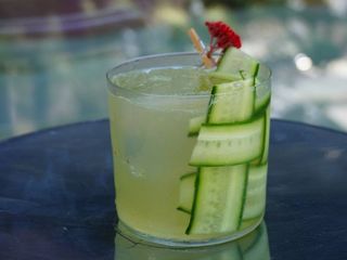 Коктейль Gin Garden (140мл)