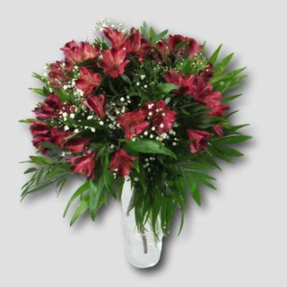 Ramo de Alstroemerias