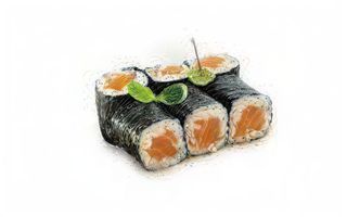 53 Hosomaki Salmone