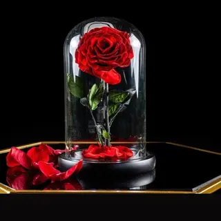 One rose
