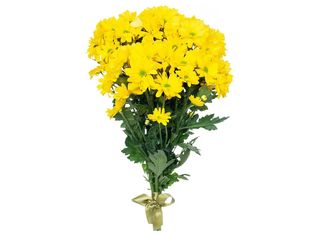 3 Хризантеми, Жълти | 1 pieces