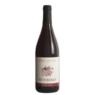 Pinot Nero Alto Adige DOC 2021