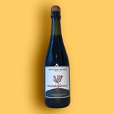Lambrusco - Montelocco