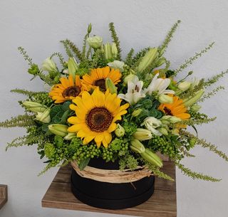 Կոմպոզիցիա 4