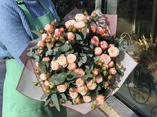 ვარისფერი სპრეი (11 ცალი) L ზომა 