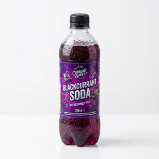 Black Currant 500 ML PET