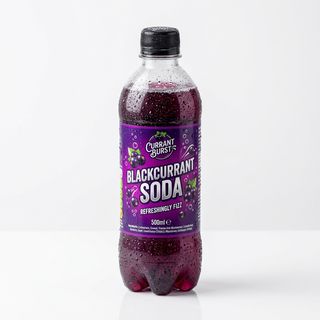 Black Currant 500 ML PET