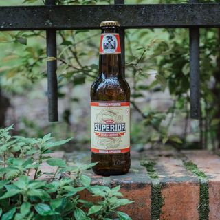 Birra Superior Gluten Free