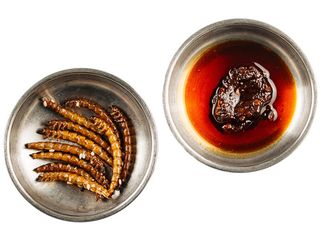 Лічинки зофобаса (5/10g)