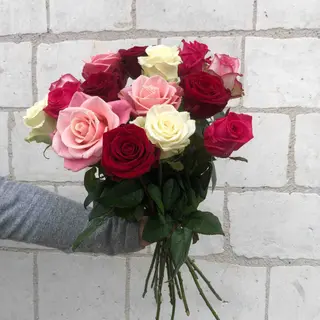 10 roses mélange