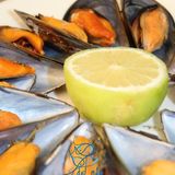 Mejillones 2.0