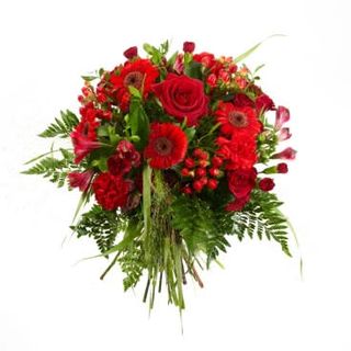 30 bordowych kwiatów