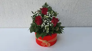Box 1