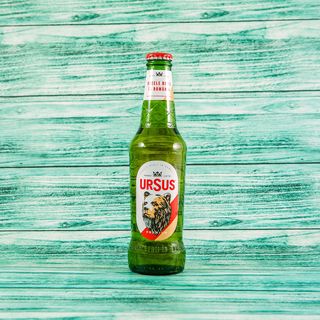 Ursus