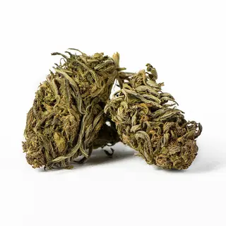 Kush