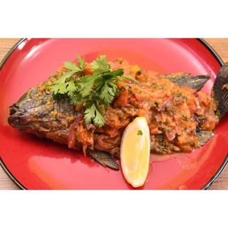 Tilapia