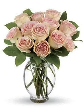 5 Rose rosa