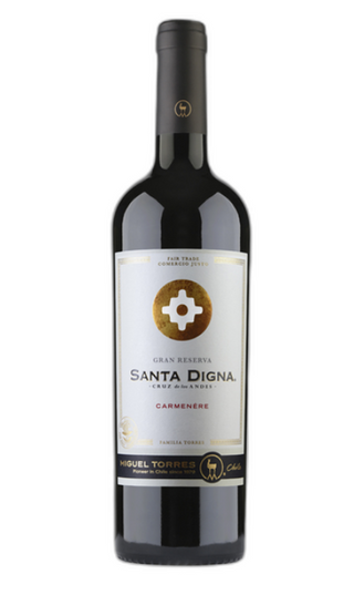 Carmenere riserva cantina Miguel Torres (Cile)
