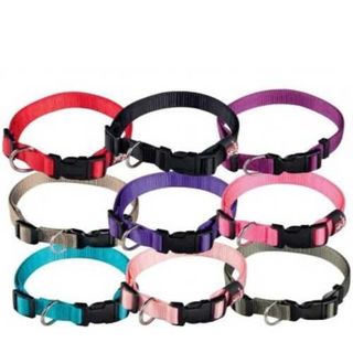 Collar Nylon Xs ( 1Cm X 15 - 25Cm )
